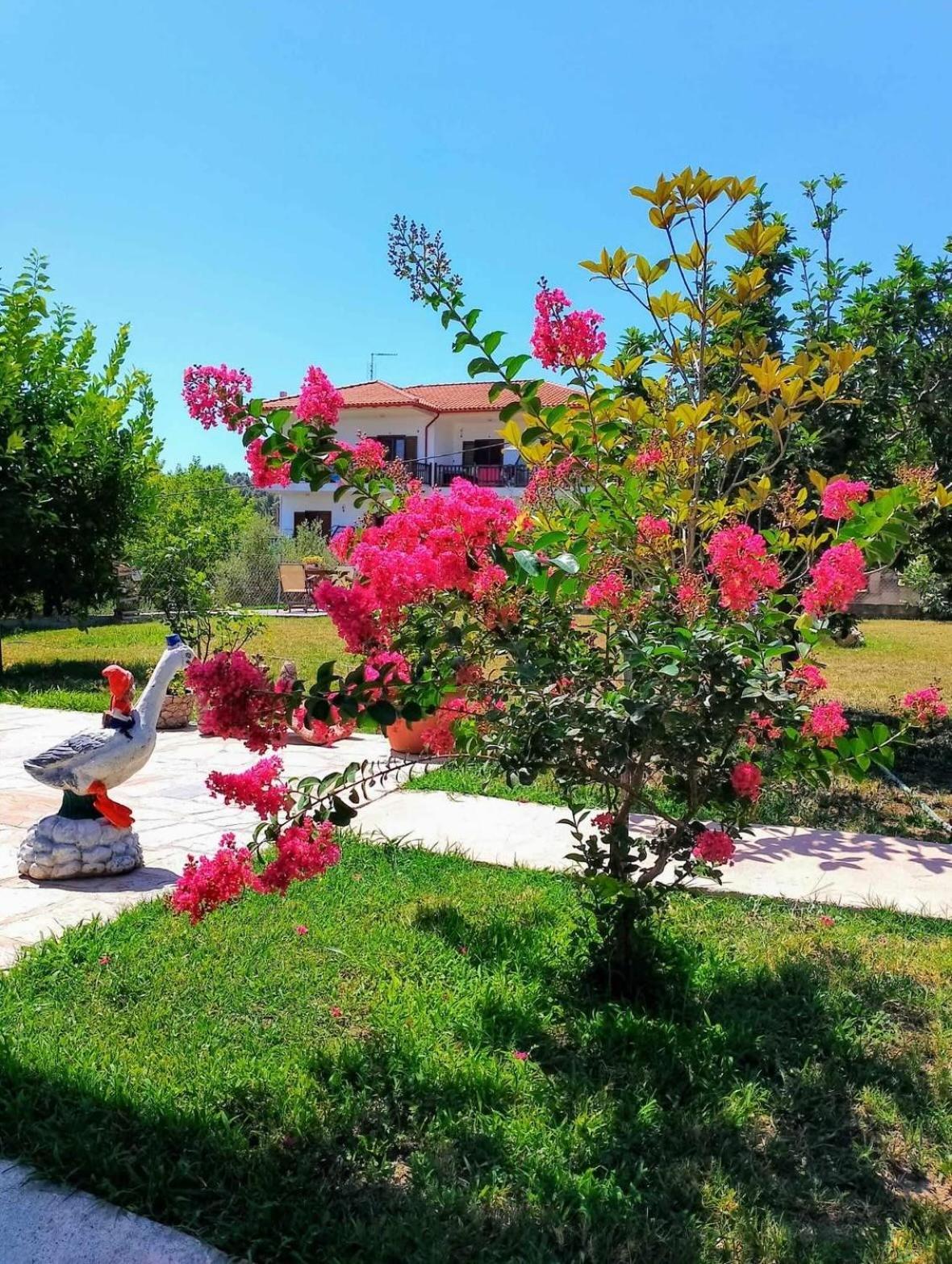 Alexandra'S Garden Διαμέρισμα Παλιούρι Εξωτερικό φωτογραφία